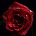 Navish Gupta - Facebook