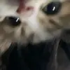 nay_bell - @nay_bell2 - TikTok