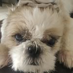 Naythan joseph - @naythaneatscats - Instagram