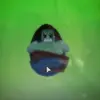 naythomas - @nay_thomas - TikTok