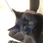 Naya King - @kitty_kat_naya - Instagram