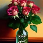 Nayab Khan - Facebook