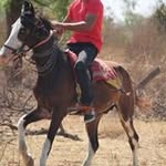 nayab mirza - @nayabmirza110 - Instagram