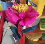 Nayeli Morales - Facebook