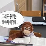Nayoung Kwon - @nykwon215 - Instagram