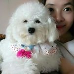 Nayoung Kwon - @chocosong222 - Instagram