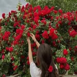 🥰_naz_khan_🥰 - @naz_khan_48____ - Instagram