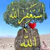 Naz khan - @nazkhan620 - TikTok