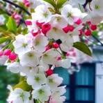 Ñaz Khan - Facebook