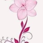 Nazir Ali - Facebook