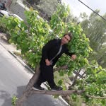 Nazir Hamidi - @hamidi.nazir - Instagram