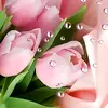 🕋 - @nazira_ibrahim1 - TikTok
