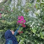 Nazira Ibrahim - @naziraibrahim91 - Instagram