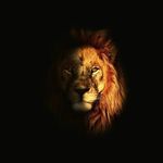 Syeda Nazish Fatima - @nazish_fatima12 - Instagram