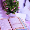 Nazli Ali - @nazliali00 - TikTok