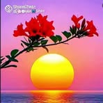 Ndeye Mboup - Facebook