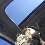 Neal Williams - @neal.williams305 - Instagram