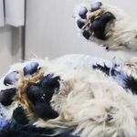 Neah Walker - @neahwallker - Instagram