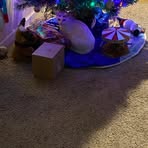 Charlene Hagemeyer-neal - Facebook