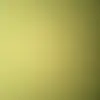 Bowman Neala - @bowman.neala - TikTok
