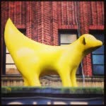 nealcross - @nealcross - Instagram
