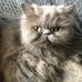 Neil Cross - Facebook