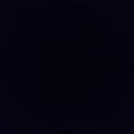 Neal Ford - @neal.ford.351 - Instagram