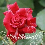 Tracy Neal-Gray - @traycee1968 - Instagram