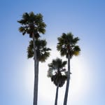 Neil Hebert Photography - @neilhebertphotos - Instagram