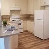 neal johnson - @neal.johnson95 - TikTok