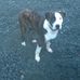 Neil McCall - Facebook