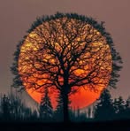 Neal McHugh - Facebook