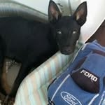 Neal Mchugh - @mchughneal - Instagram