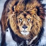 Neil Powers - @powers.neil - Instagram