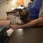 Neil Powers - @npowers57 - Instagram