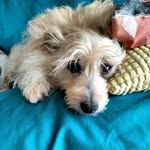 Mary Neal Rosenberg - @marynealrosenberg - Instagram