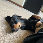 Neal Warner - @neal_warner_ - Instagram