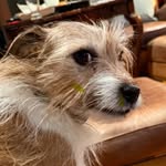 Neil Warner Yahn - @neil_warner_yahn - Instagram