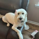 Neal Weinstein - @nealauto - Instagram
