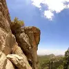 Amber Neal-Weldon - @ambernealweldon - TikTok