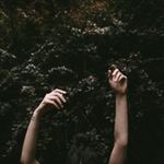 Neal Werner - @neal_werner91912 - Instagram