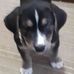 Neal Wolfe - Facebook