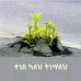 Nebyou Daniel - Facebook