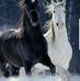 Nectaria Cooper - Facebook