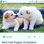 Ned Alexander - @kelsey.lussier.169 - Instagram
