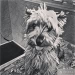 Ned Anderson - @maxderat - Instagram