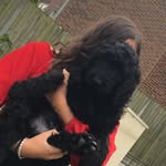 Ned Banks - @nedbdoodle - Instagram