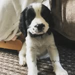Ned Bloom-Bowman - @nedbloombowman - Instagram