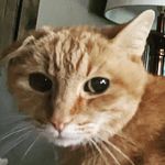 Ned Burdick - @neddy_von_ned - Instagram