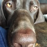 Ned Clark - @nedclark12 - Instagram